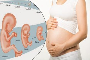 Suy dinh dưỡng bào thai có nguy hiểm không?