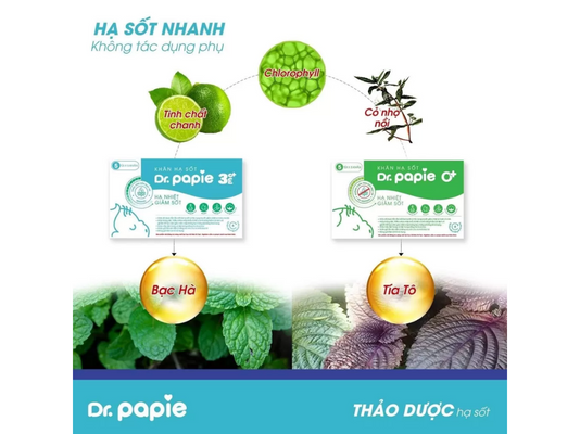 mieng-dan-ha-sot-dr-papie