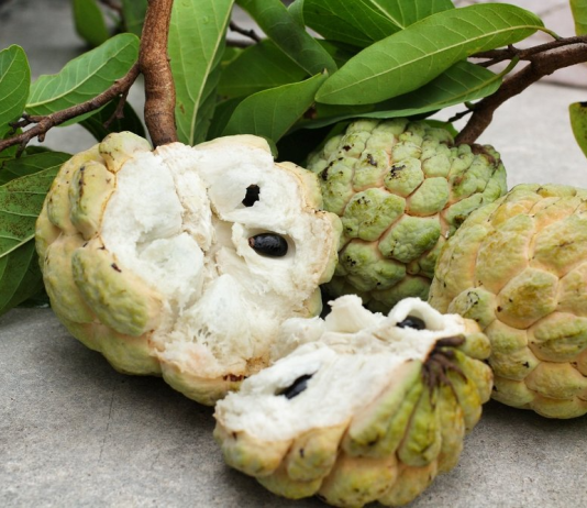 sau-sinh-an-qua-na-duoc-khong