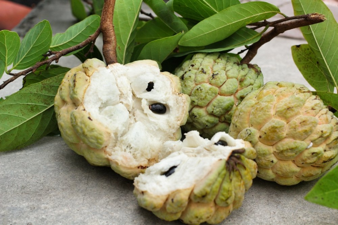 sau-sinh-an-qua-na-duoc-khong