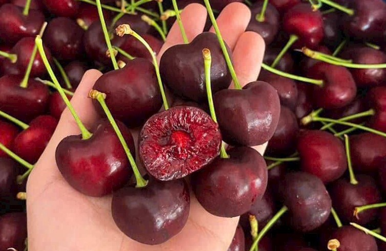 sau-sinh-an-cherry-duoc-khong-1