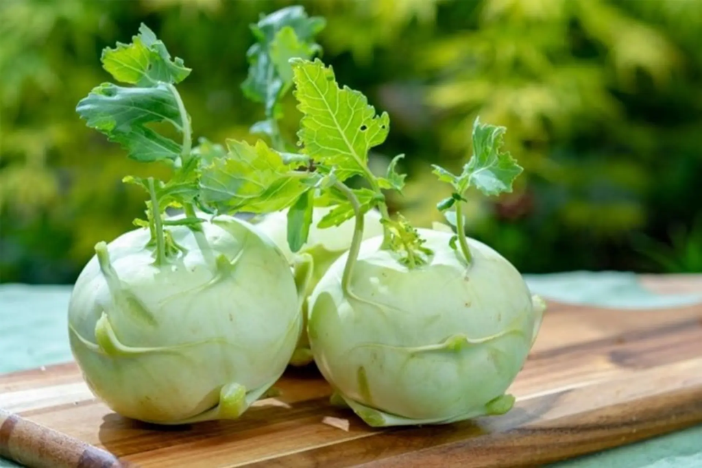 sau-sinh-an-su-hao-duoc-khong